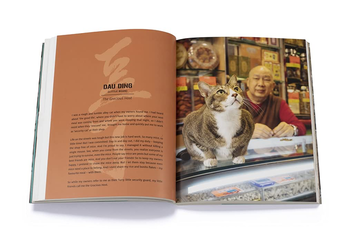 Паперова книга «Shop Cats of Hong Kong», автор Марсель Хейнен - фото №6 - мініатюра