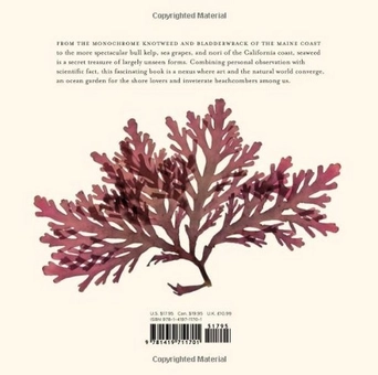 Бумажная книга «An Ocean Garden. The Secret Life of Seaweed», автор Джози Айслин - фото №2 - миниатюра