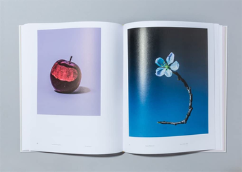 Бумажная книга «Odd Apples», автор Уильям Муллан - фото №5 - миниатюра