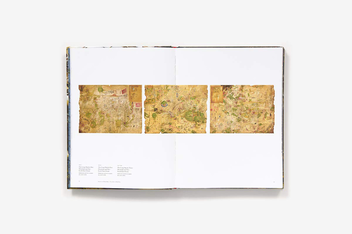 Бумажная книга «American Fried Rice: The Art of Mu Pan», автор Му Пан - фото №2 - миниатюра