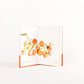 Бумажная книга «Taste», автор Стэнли Туччи - фото №3 - миниатюра