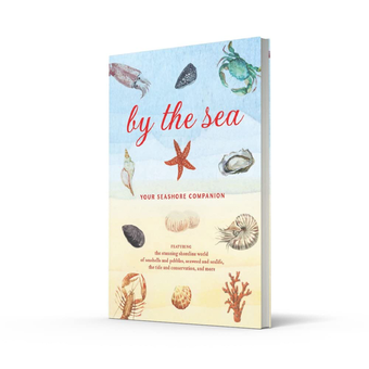 Бумажная книга «By the Sea. Your Seaside Companion», автор Сьюзан Келли - фото №3 - миниатюра
