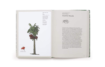 Бумажная книга «Story of Trees. And How They Changed the Way We Live», авторов Дэвид Уэст, Кевин Хоббс - фото №8 - миниатюра