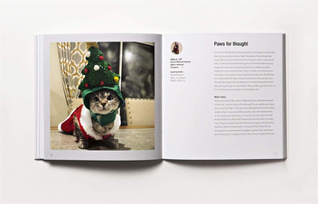 Бумажная книга «Read This if You Want to Be Instagram Famous», автор Генри Кэрролл - фото №4 - миниатюра