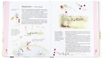Бумажная книга «Експедиція з мурахою Софі», автор Стефан Каста - фото №8 - миниатюра