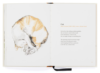Бумажная книга «The Book of Cat Poems», автор Ана Сэмпсон - фото №5 - миниатюра