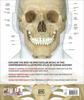 Бумажная книга «Human Anatomy. The Definitive Visual Guide», автор Элис Робертс - фото №3 - миниатюра