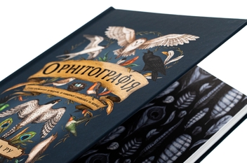 Бумажная книга «Орнітографія. Ілюстрований довідник із пташиної символіки та легенд», автор Джессика Ру - фото №4 - миниатюра