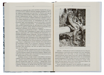 Бумажная книга «За лаштунками «Волині-43». Невідома польсько-українська війна», автор Владимир Вятрович - фото №5 - миниатюра