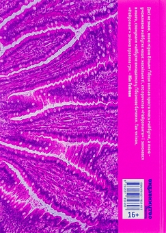 Паперова книга «Нейромант», автор Вільям Ґібсон - фото №2 - мініатюра