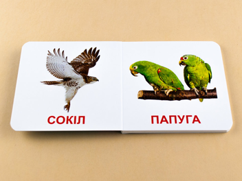 Бумажная книга «Птахи. Книжка для найменших» - фото №3 - миниатюра