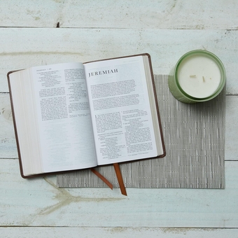 Бумажная книга «NRSV Catholic Edition Gift Bible», автор Католическое библейское издательство - фото №7 - миниатюра