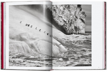 Бумажная книга «Sebastião Salgado. Genesis. 45th Ed.» - фото №6 - миниатюра