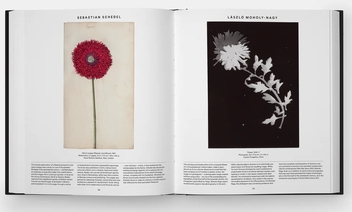 Бумажная книга «Plant: Exploring the Botanical World», автор Редакторы "Phaidon" - фото №6 - миниатюра