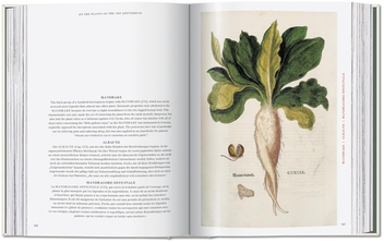 Paper book «Leonhart Fuchs: The New Herbal», author Werner Dressendörfer - фото №6 - миниатюра