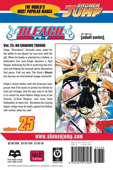 Паперова книга «Bleach. Volume 25», автор Тайто Кубо - фото №2 - мініатюра