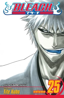 Паперова книга «Bleach. Volume 25», автор Тайто Кубо - фото №1 - мініатюра