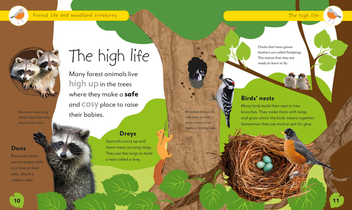 Бумажная книга «Forest Life and Woodland Creatures. Full of Fun Facts and Activities» - фото №4 - миниатюра