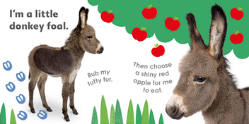 Паперова книга «Baby Animals» - фото №3 - мініатюра