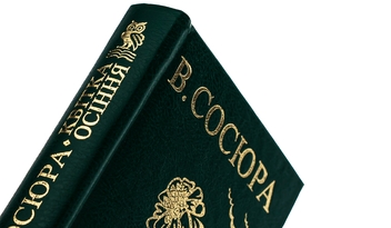 Бумажная книга «Квітка осіння», автор Владимир Сосюра - фото №4 - миниатюра