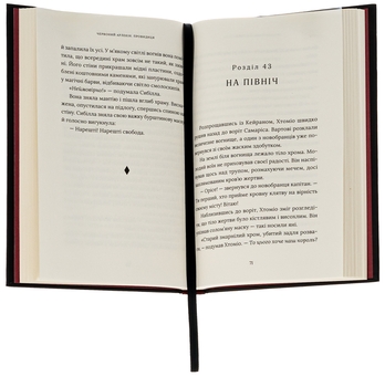 Паперова книга «Червоний Арлекін. Книга 5. Провидиця», автор Роберто Річчі - фото №6 - мініатюра