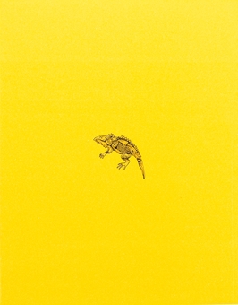 Паперова книга «Американська молитва», автор Джим Моррісон - фото №2 - мініатюра