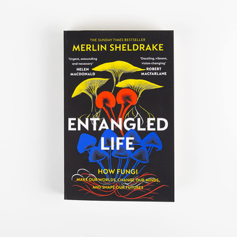 Паперова книга «Entangled Life», автор Мерлін Шелдрейк - фото №2 - мініатюра