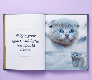 Бумажная книга «Wild Masterpieces: A Collection of Inspiring Animal and Pet Portraits», автор Эван Дуглас - фото №2 - миниатюра