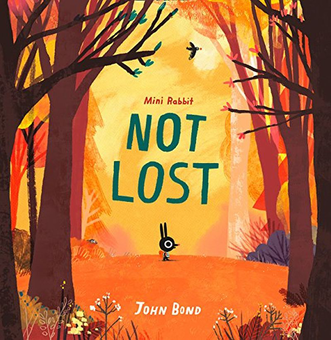 Паперова книга «Mini Rabbit Not Lost», автор Джон Бонд - фото №1 - мініатюра