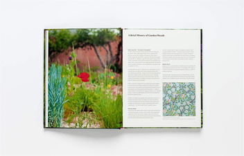 Паперова книга «Wild about Weeds. Garden Design with Rebel Plants», автор Джек Воллінгтон - фото №6 - мініатюра