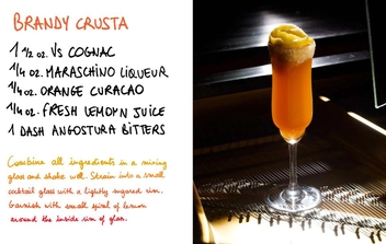Паперова книга «Vintage Cocktails», автор Браян Ван Фландерн - фото №8 - мініатюра