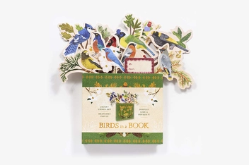 Бумажная книга «Birds in a Book. A Bouquet in a Book. Jacket Comes Off. Branches Pop Up. Display Like a Bouquet!», автор Лесли Эрл - фото №4 - миниатюра