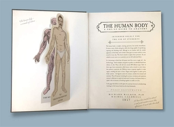 Паперова книга «The Human Body», автор Річард Уокер - фото №3 - мініатюра