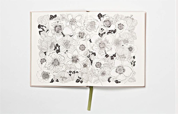 Бумажная книга «The Flower Year.  A Colouring Book», автор Лейла Дьюли - фото №5 - миниатюра