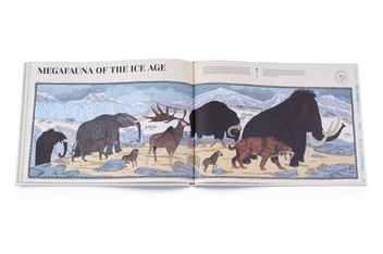 Паперова книга «How Life on Earth Began. Fossils. Dinosaurs. The First Humans», автор Айна Бестард - фото №6 - мініатюра