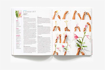 Бумажная книга «The Exquisite Book of Paper Flower Transformations», автор Ливия Четти - фото №8 - миниатюра