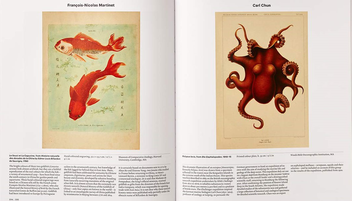 Бумажная книга «Animal: Exploring the Zoological World», автор Джеймс Ханкен - фото №3 - миниатюра