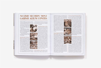 Бумажная книга «The History of Gangster Rap», автор Сорен Бейкер - фото №8 - миниатюра
