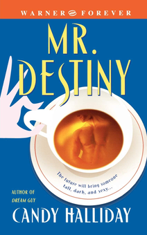 Бумажная книга «Mr. Destiny», автор Кэнди Холлидей - фото №1 - миниатюра