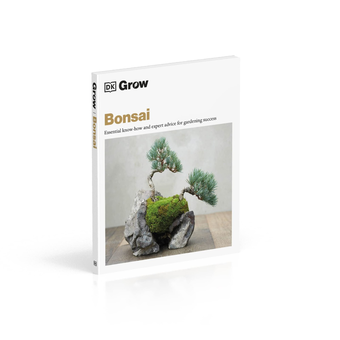 Паперова книга «Bonsai» - фото №3 - мініатюра