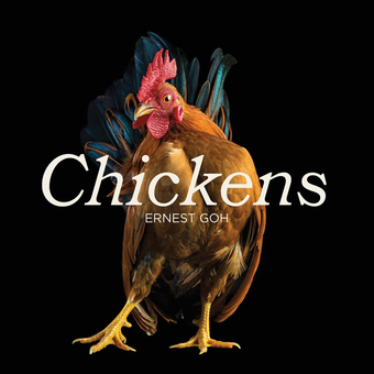 Паперова книга «Chickens», автор Ернест Го - фото №1 - мініатюра