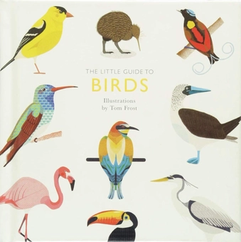 Бумажная книга «Little Guide to Birds», автор Элисон Дэвис - фото №1 - миниатюра