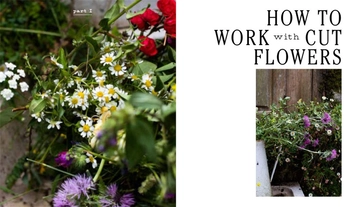 Бумажная книга «Field, Flower, Vase: Arranging and Crafting with Seasonal and Wild Blooms», автор Челси Фусс - фото №4 - миниатюра