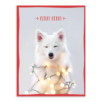 Бумажная книга «Festive Furry Friends Deluxe Notecard Collection» - фото №8 - миниатюра