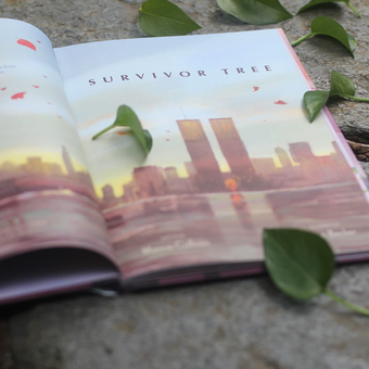 Паперова книга «Survivor Tree», авторів Марсі Коллін, Аарон Беккер - фото №2 - мініатюра