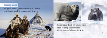 Паперова книга «Arctic Life», автор Шон Келлері - фото №3 - мініатюра