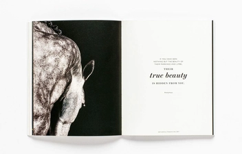 Бумажная книга «The Book of the Horse», авторов Ангус Хайленд, Кэролайн Робертс - фото №6 - миниатюра