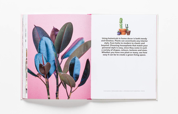 Бумажная книга «How to Raise a Plant: and Make it Love You Back», авторов Морган Доан, Эрин Хардинг - фото №9 - миниатюра