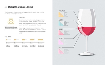 Бумажная книга «Wine Folly: The Essential Guide to Wine» - фото №6 - миниатюра