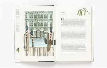 Бумажная книга «Around the World in 80 Trees», автор Джонатан Дрори - фото №5 - миниатюра